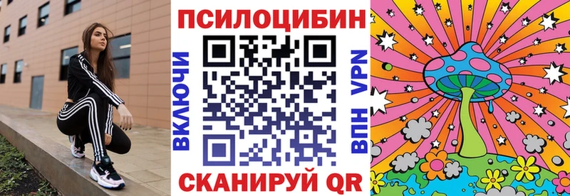кракен ССЫЛКА  купить закладку  Вяземский  Псилоцибиновые грибы ЛСД 
